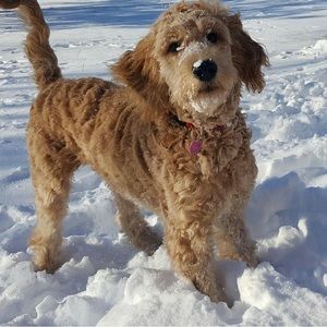 Hi Poshers! I’m trying to clean everything out! Make me a reasonable offer! 🩷